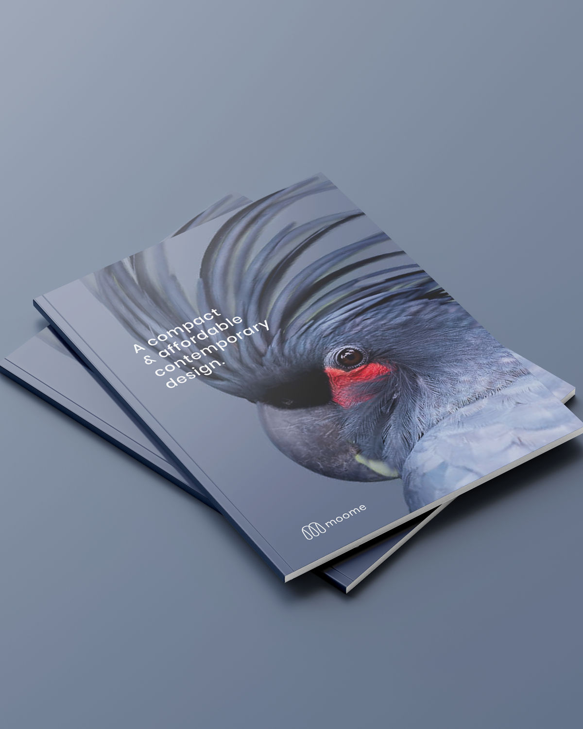 Moome_brochure